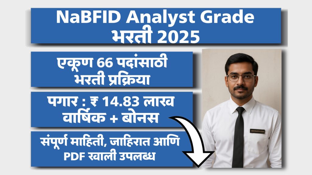 NaBFID recruitment 2025